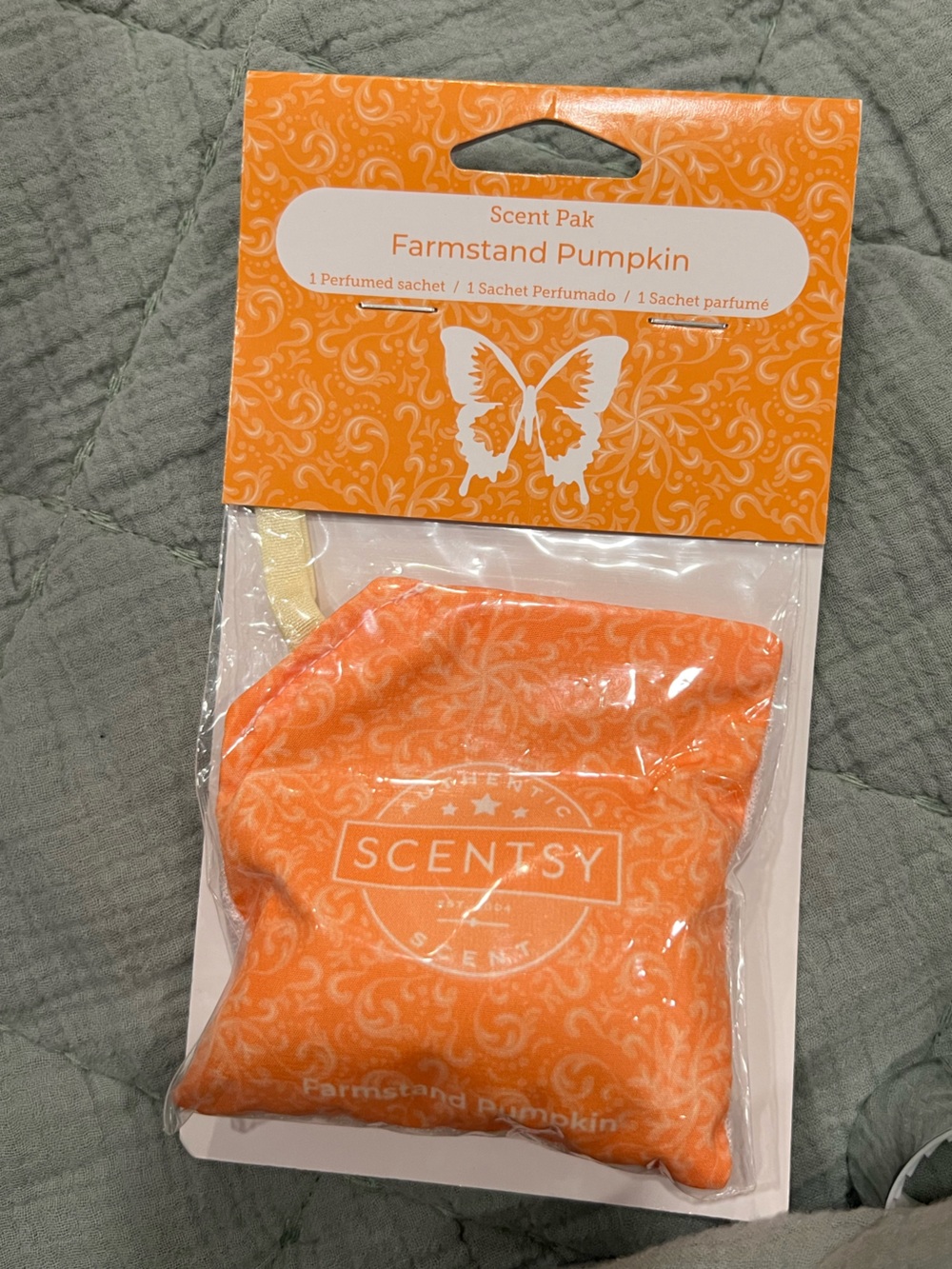 Scentsy Orange Farmstand Pumpkin Scent Pak Sachet
